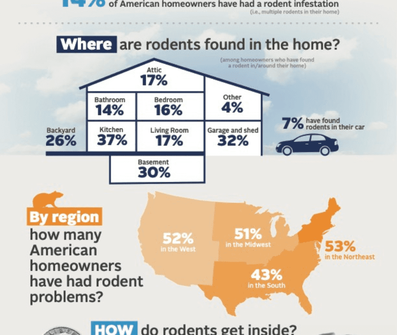 Are mice really that bad? Rodents revealed inside.