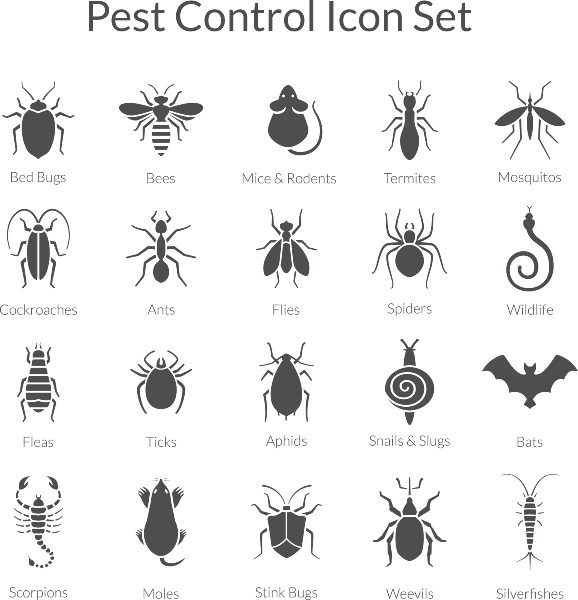 chart of bugs chart of bugs