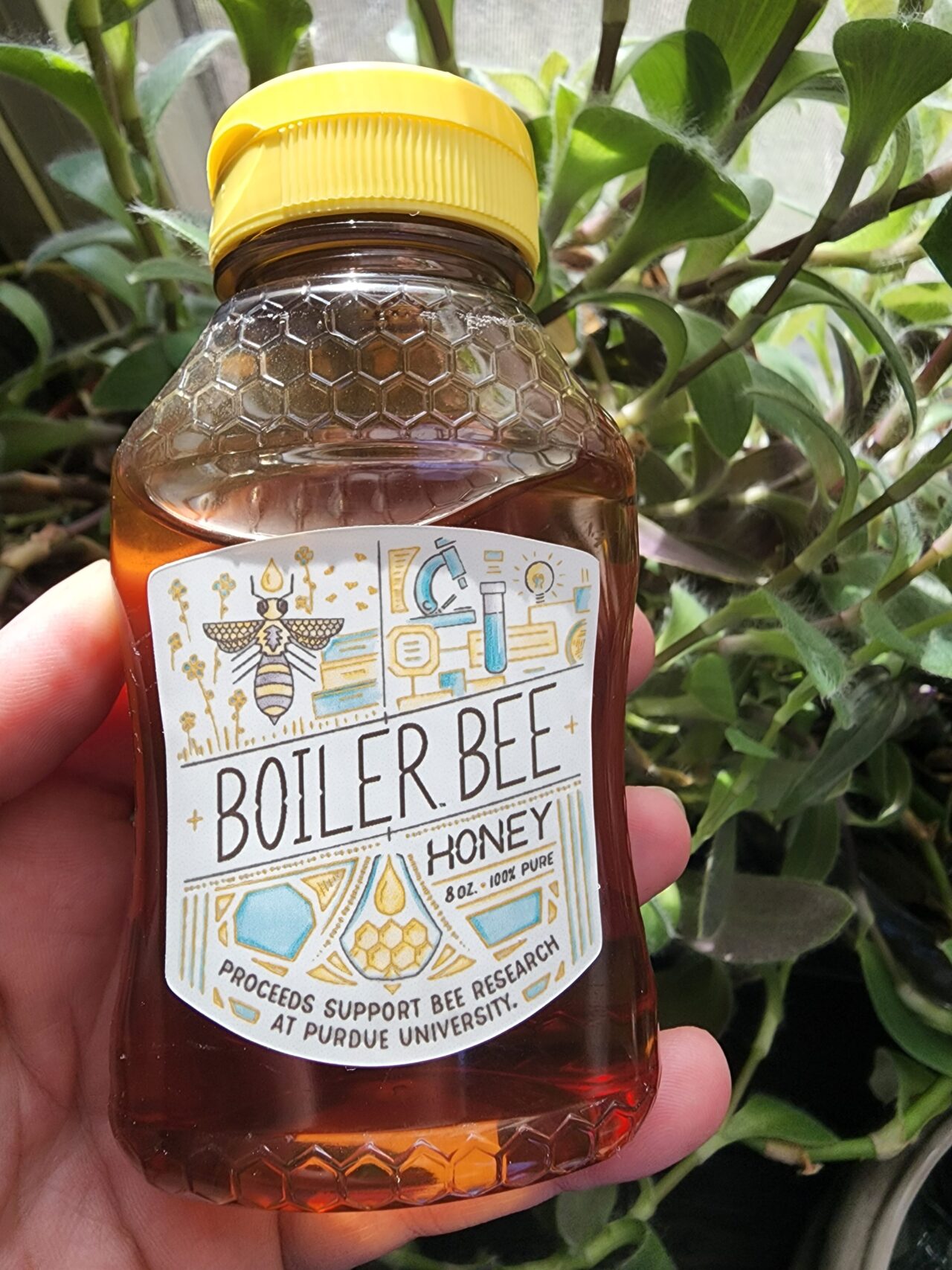 boiler bee honey