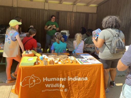 Humane Indiana Wildlife educates attendees about wildlife rehabilitation