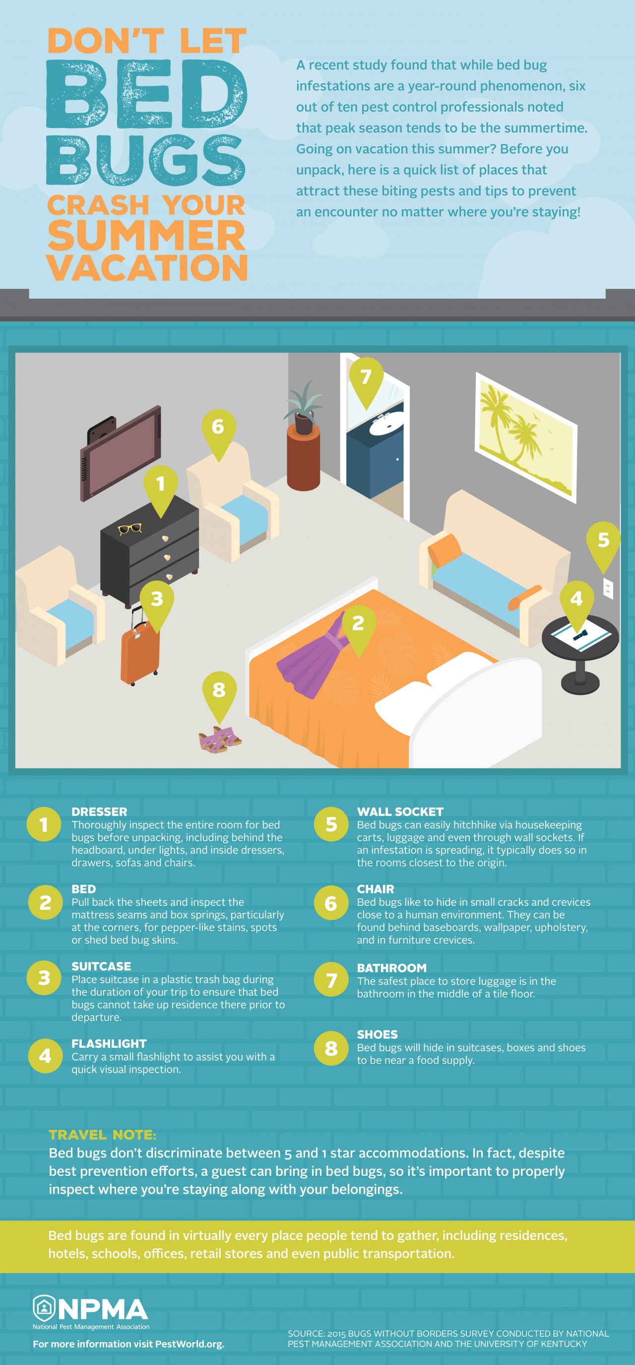 bed bug infographic