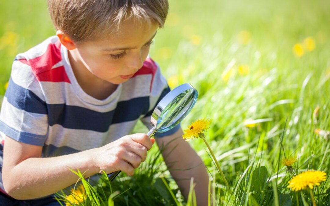 Does Hot Weather Bother Insects?