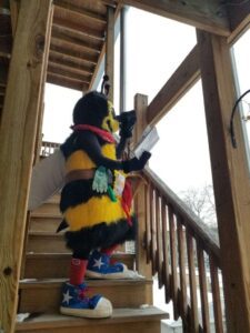 A person wearing a bee costume promoting pest control services in Illinois