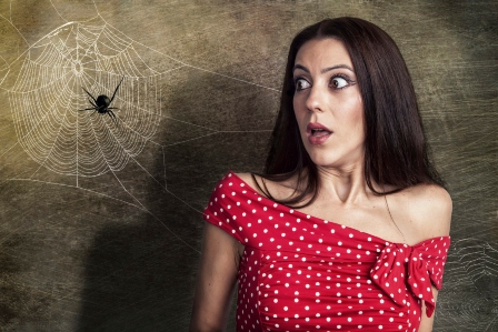 Women feel danger when looking at a spider on a web