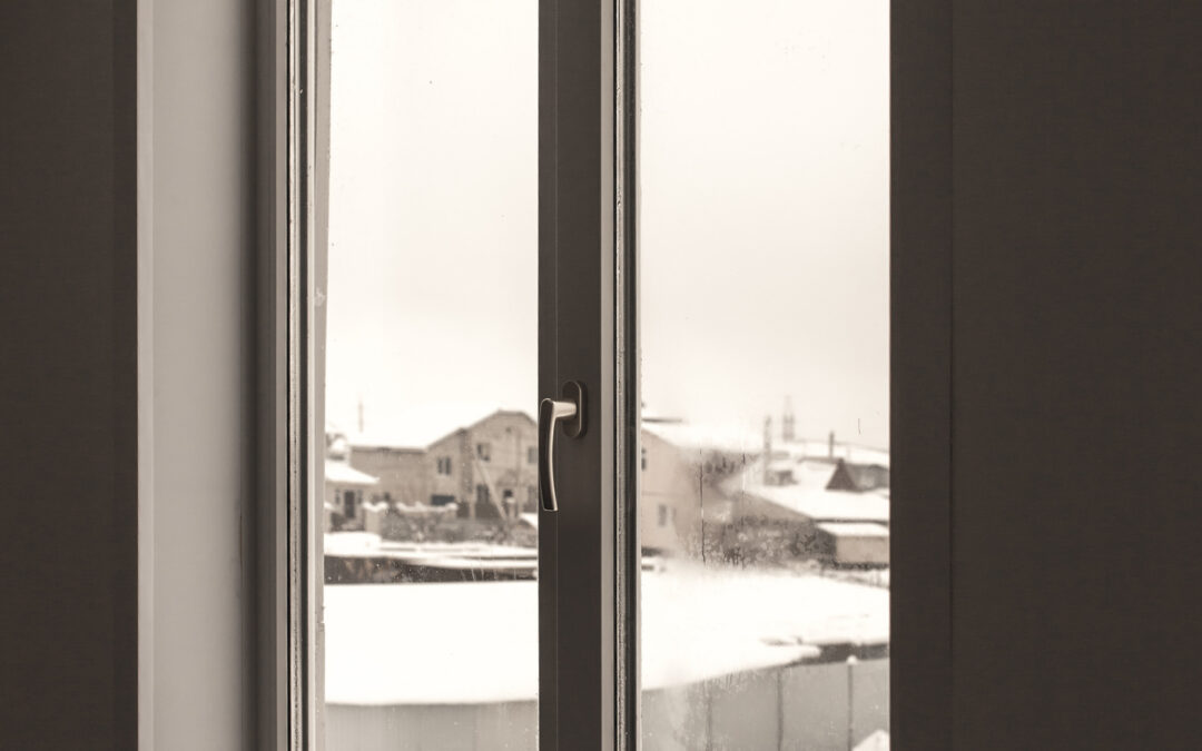 The Winter Pests Most Homeowners Do Not See Coming