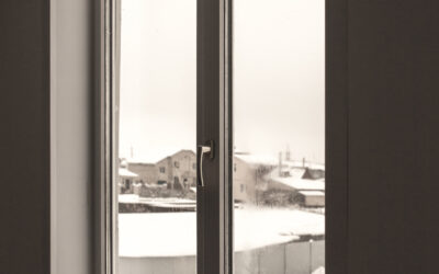 The Winter Pests Most Homeowners Do Not See Coming