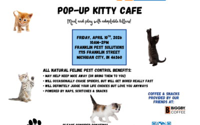 Meet Adoptable Kittens at Franklin Pest Solutions April 10
